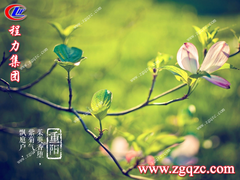 程力集團 程力集團
